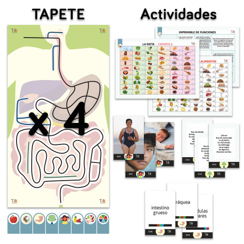 TILK Education: Alfombra y actividades sobre el aparato digestivo