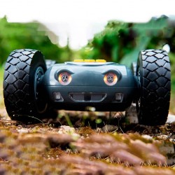 RUGGED ROBOT en exterior