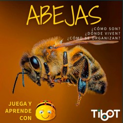 Aprendemos sobre las abejas