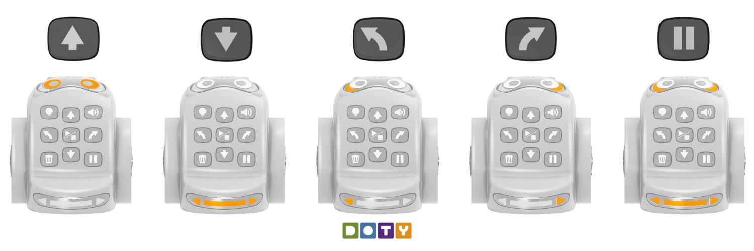 DOTY luces programables