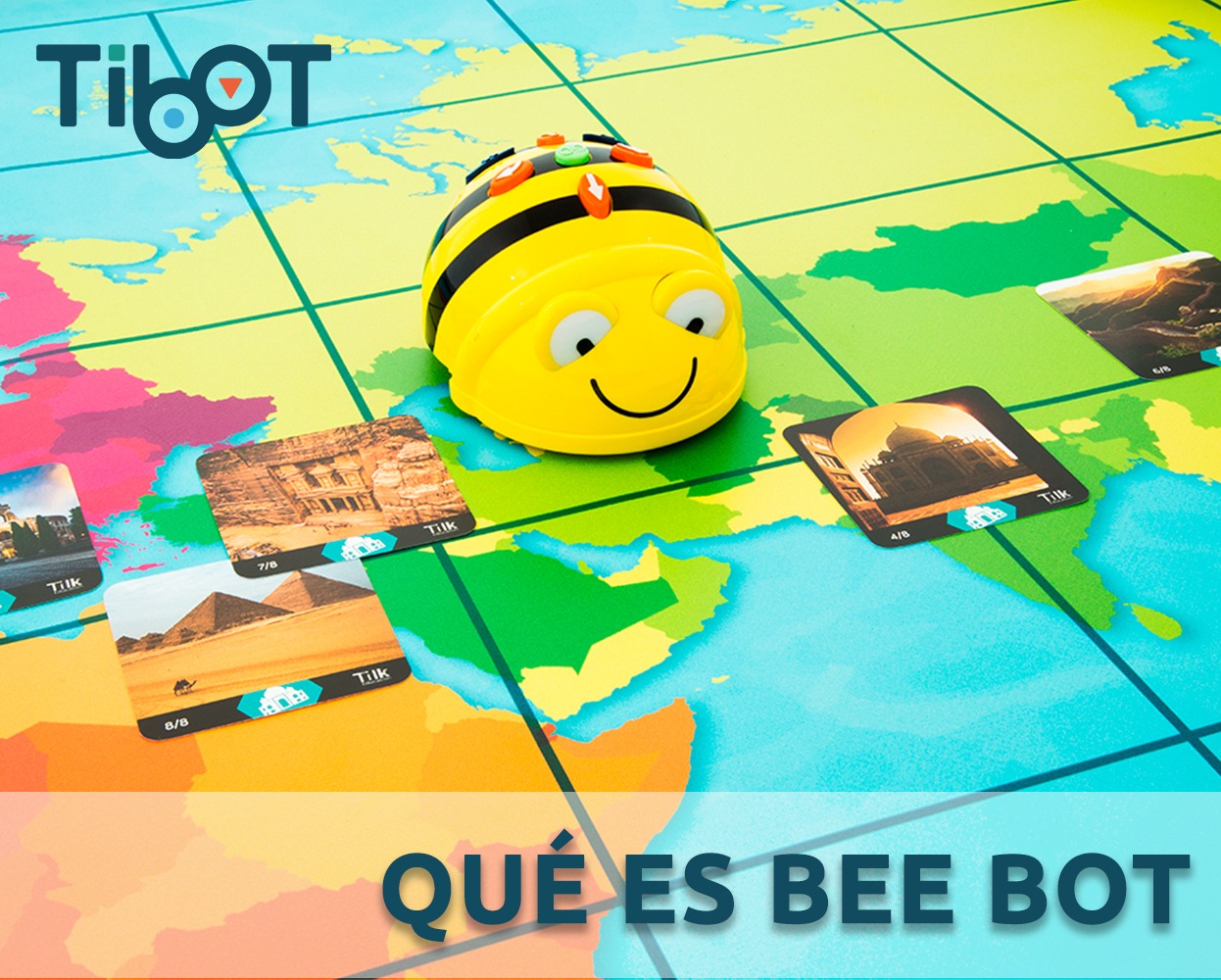 ¿Qué es Bee Bot Robot?