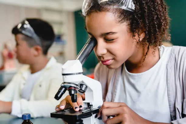 Ciencias y tecnología en primaria