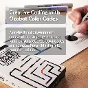 Ari-Classroom-Kit-12-robots-Ozobot-img12.webp