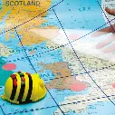 Tapete-Transparente-BeeBot-BlueBot-TTS-img02.webp