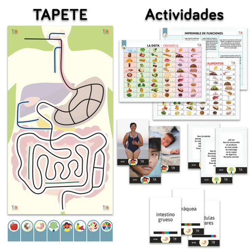 APARATO DIGESTIVO Tapete y actividades